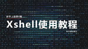 Xshell使用教程:从入门到精通,全面掌握操作技巧?