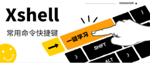 Xshell常用技巧与快捷键全攻略,提升远程管理效率?